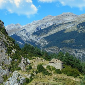 Tella-Sin